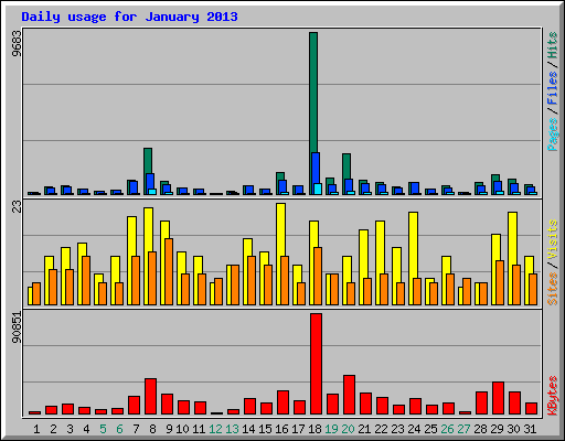 Daily usage for January 2013