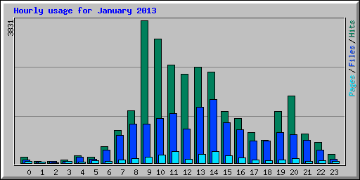 Hourly usage for January 2013