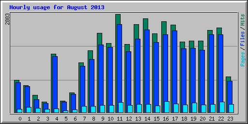 Hourly usage for August 2013
