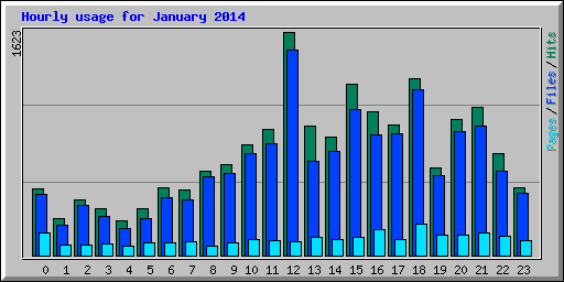 Hourly usage for January 2014